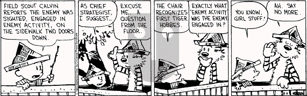 Calvin and Hobbes - Wednesday August 4, 1993 Comic Strip