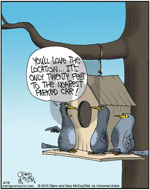 The Flying McCoys on Saturday April 18, 2015 Comic Strip