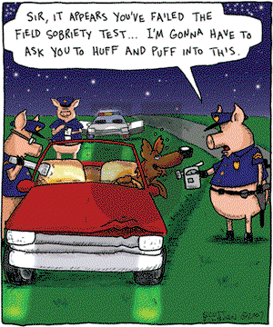 The Argyle Sweater on Thursday January 17, 2008 Comic Strip