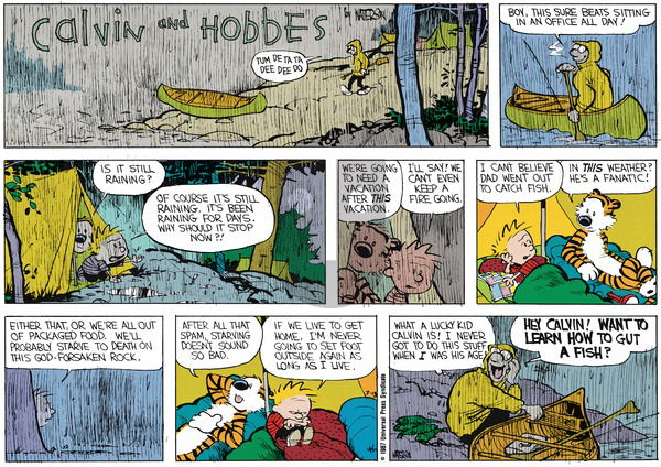 Calvin and Hobbes - Sunday August 16, 1987 Comic Strip