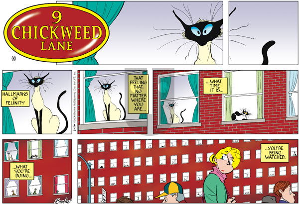 9 Chickweed Lane on Sunday March 26, 2006 Comic Strip