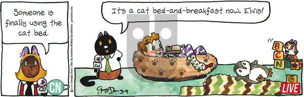Breaking Cat News on Saturday March 9, 2019 Comic Strip