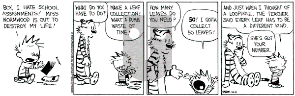 Calvin and Hobbes on Monday October 2, 1995 Comic Strip