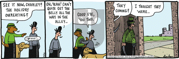 Overboard on Tuesday December 29, 2020 Comic Strip