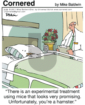 Cornered on Monday March 28, 2011 Comic Strip