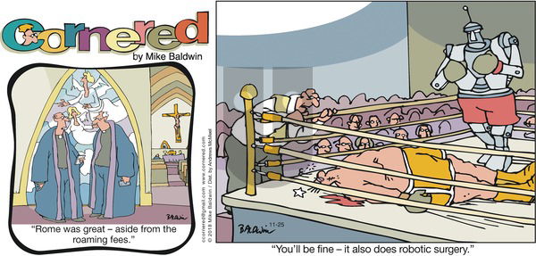 Cornered on Sunday November 25, 2018 Comic Strip