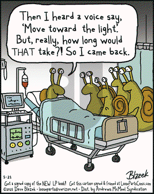 Loose Parts on Wednesday May 21, 2025 Comic Strip