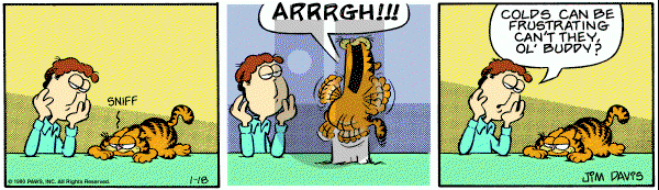 Garfield on Friday January 18, 1980 Comic Strip
