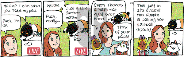 Breaking Cat News on Wednesday April 19, 2017 Comic Strip