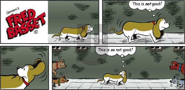 Fred Basset on Sunday November 25, 2012 Comic Strip