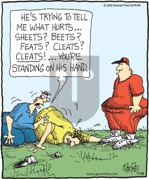 In the Bleachers - Saturday July 18, 2009 Comic Strip