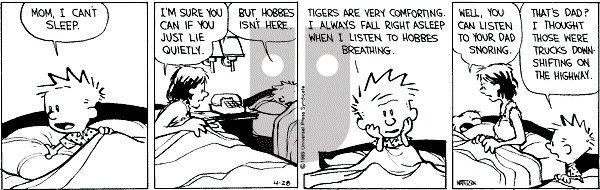 Calvin and Hobbes - Friday April 28, 1989 Comic Strip