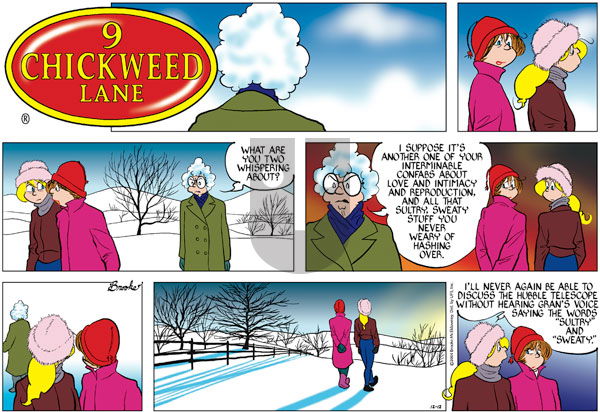 9 Chickweed Lane on Sunday December 12, 2004 Comic Strip