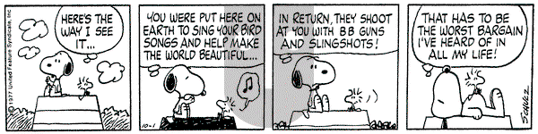 Peanuts on Saturday October 1, 1977 Comic Strip