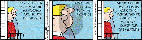 The Born Loser on Wednesday October 16, 2024 Comic Strip