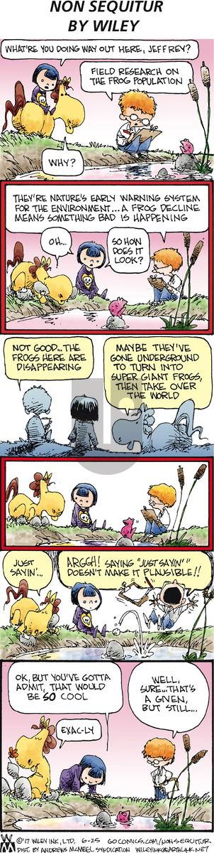 Non Sequitur on Sunday June 25, 2017 Comic Strip