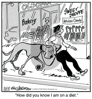 Marmaduke on Saturday December 7, 2002 Comic Strip