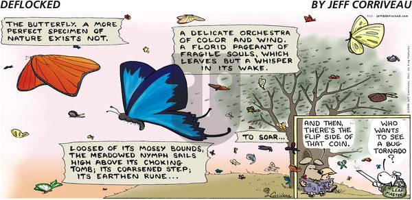 DeFlocked - Sunday July 13, 2008 Comic Strip