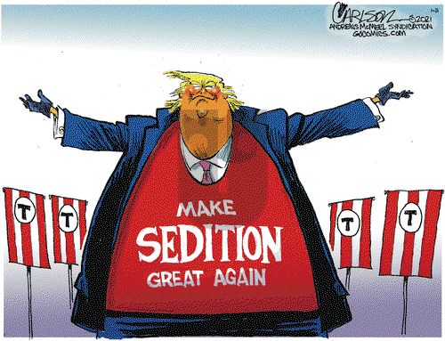Stuart Carlson on Monday January 11, 2021 Comic Strip