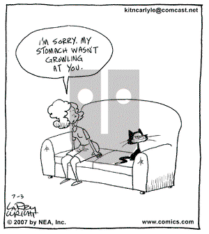 Kit 'N' Carlyle on Tuesday July 3, 2007 Comic Strip