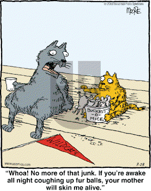 In the Bleachers - Friday March 28, 2003 Comic Strip