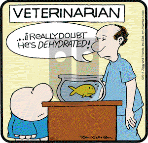 Ziggy on Monday October 10, 2016 Comic Strip