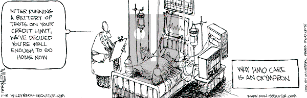 Non Sequitur on Thursday November 8, 2001 Comic Strip