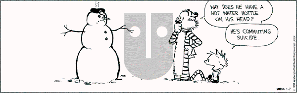 Calvin and Hobbes - Tuesday January 7, 2014 Comic Strip
