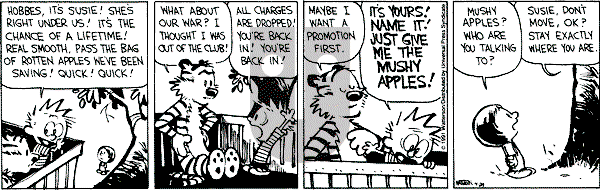 Calvin and Hobbes - Monday April 29, 1991 Comic Strip