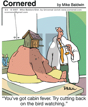 Cornered on Wednesday August 5, 2015 Comic Strip