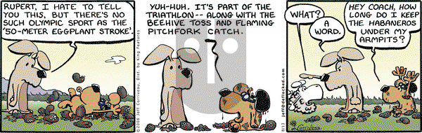 DeFlocked - Thursday August 14, 2008 Comic Strip