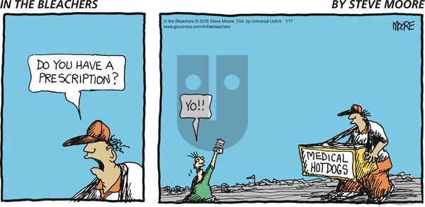 In the Bleachers on Sunday January 17, 2016 Comic Strip