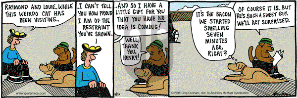 Overboard on Tuesday November 20, 2018 Comic Strip