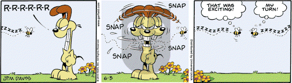 Garfield - Thursday June 3, 2010 Comic Strip