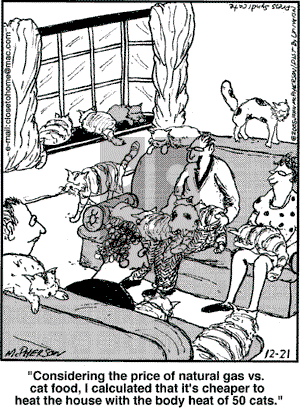 Close to Home on Wednesday December 21, 2005 Comic Strip