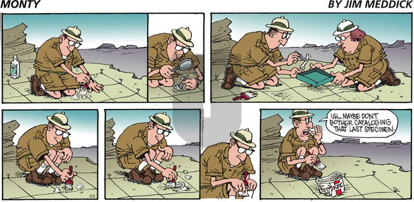 Monty on Sunday February 5, 2017 Comic Strip