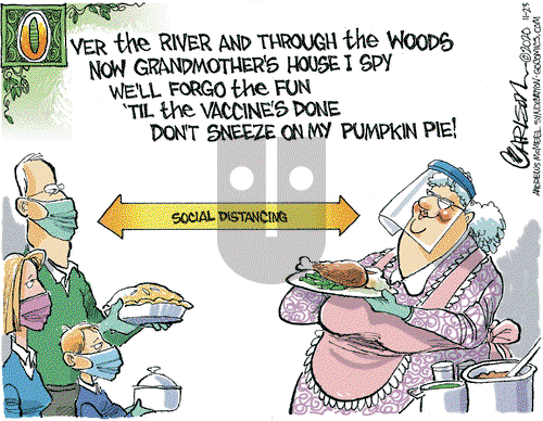 Stuart Carlson on Monday November 23, 2020 Comic Strip