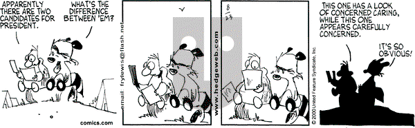 Over the Hedge on Wednesday August 23, 2000 Comic Strip