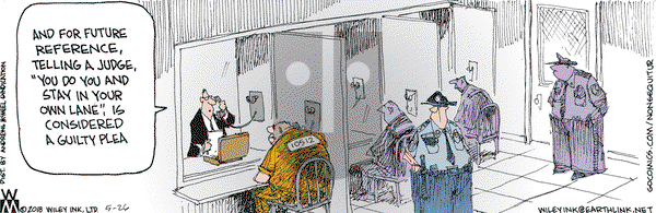 Non Sequitur on Saturday May 26, 2018 Comic Strip