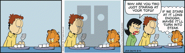 Garfield on Friday August 14, 2020 Comic Strip