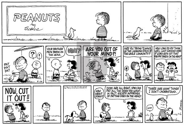 Peanuts on Sunday September 16, 1962 Comic Strip