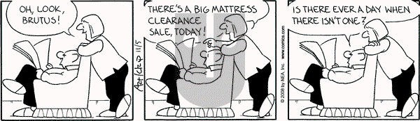 The Born Loser on Wednesday November 5, 2008 Comic Strip