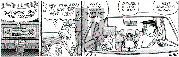 Get Fuzzy on Tuesday December 21, 1999 Comic Strip