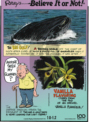 Ripley's Believe It or Not on Saturday October 12, 2019 Comic Strip