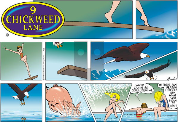 9 Chickweed Lane on Sunday January 26, 2003 Comic Strip