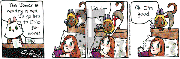 Breaking Cat News on Wednesday January 13, 2021 Comic Strip
