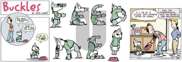 Buckles - Sunday January 26, 2025 Comic Strip