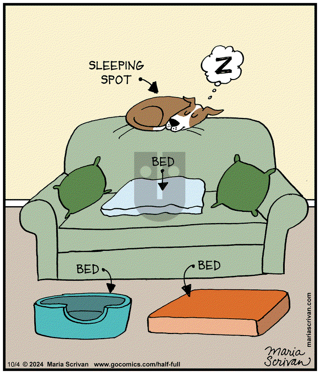Half Full - Friday October 4, 2024 Comic Strip