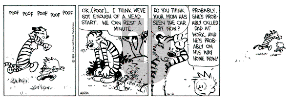 Calvin and Hobbes on Friday June 2, 1989 Comic Strip