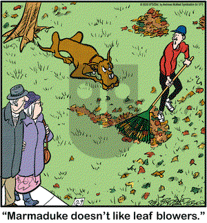 Marmaduke on Wednesday December 9, 2020 Comic Strip